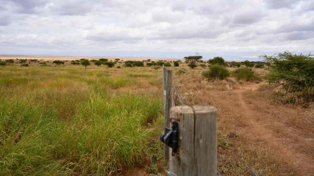 1 Daks fixed point 06 2024 Meshanani Grass seed banks OOGR _ Kenya (1)