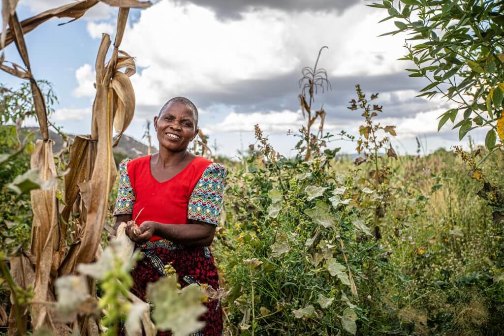 woman farmer tanzania regreening