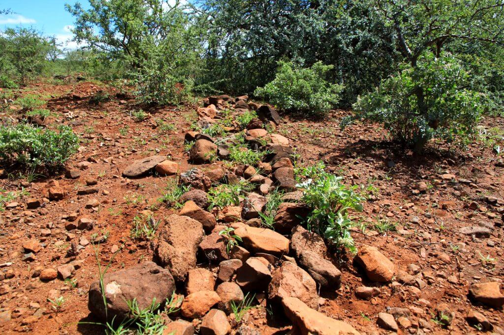 Stone lines