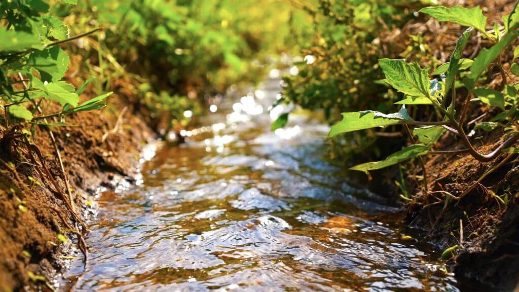 6_Impact_what we do_Justdiggit_soil_water_retain_cycle_vegetation