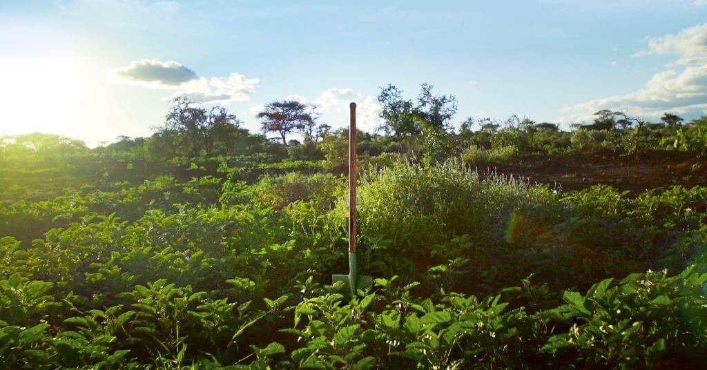 Shovel in green bund