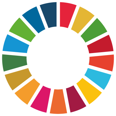 Partners_About us_Justdiggit_SDG_Netherlands_logo