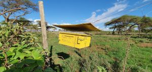 bee hive