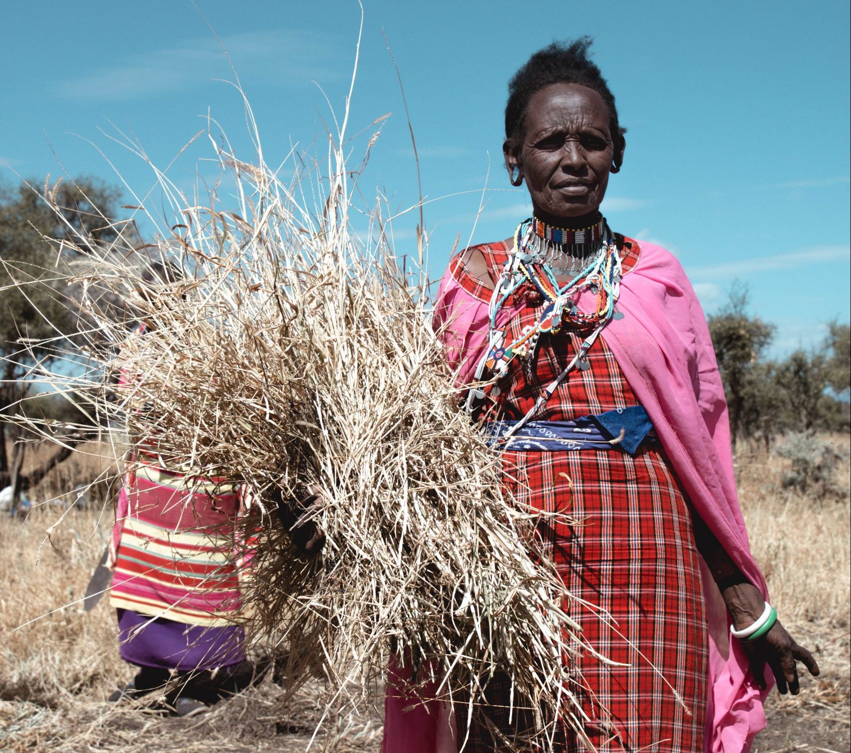 woman grass seed banks