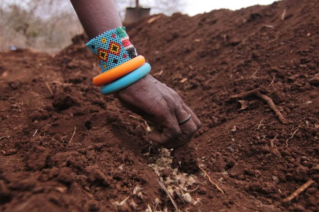 women seeds