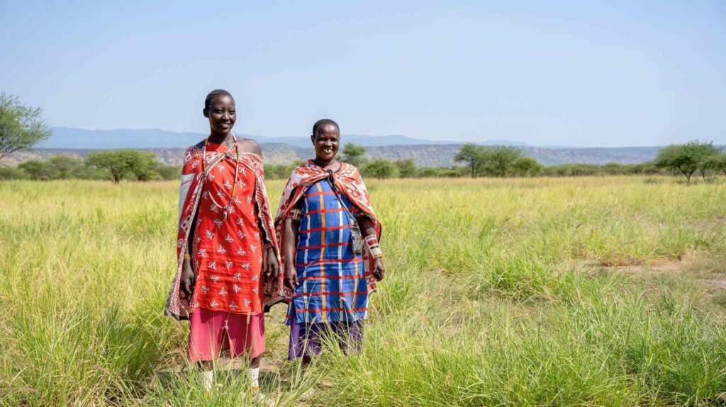 12 Daks 06 2024 Oldorko Grass seed banks South Rift _ Kenya
