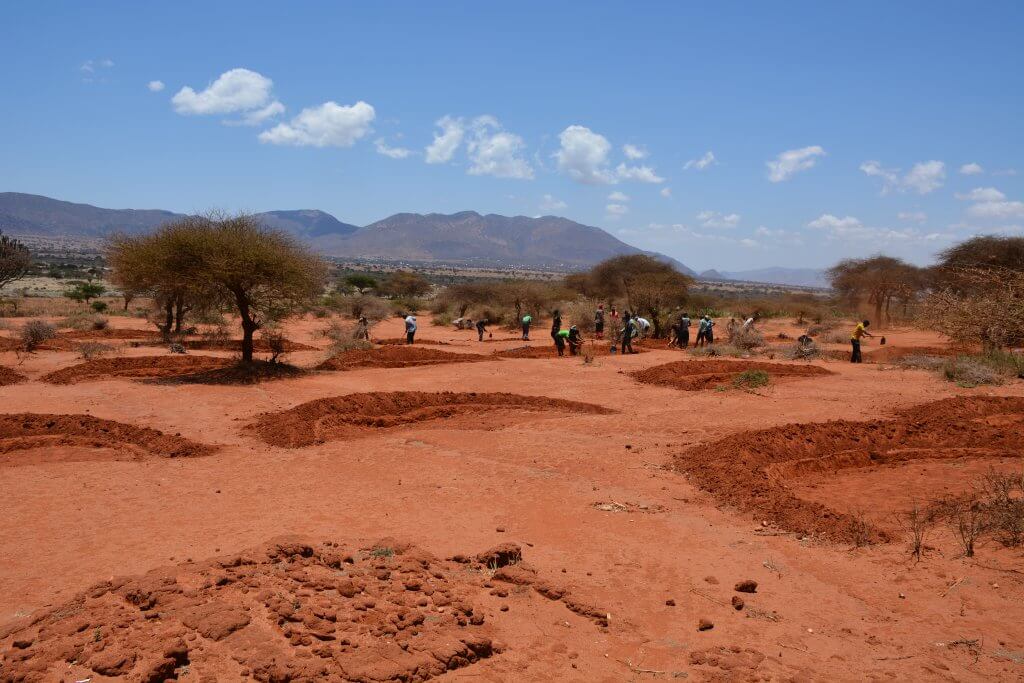 Copy of 11.1 Before_After_ DSC_1840_Pembamoto_Dodoma_Tanzania_january_2021_bunds_grasses_green_godlove_phonephoto_s