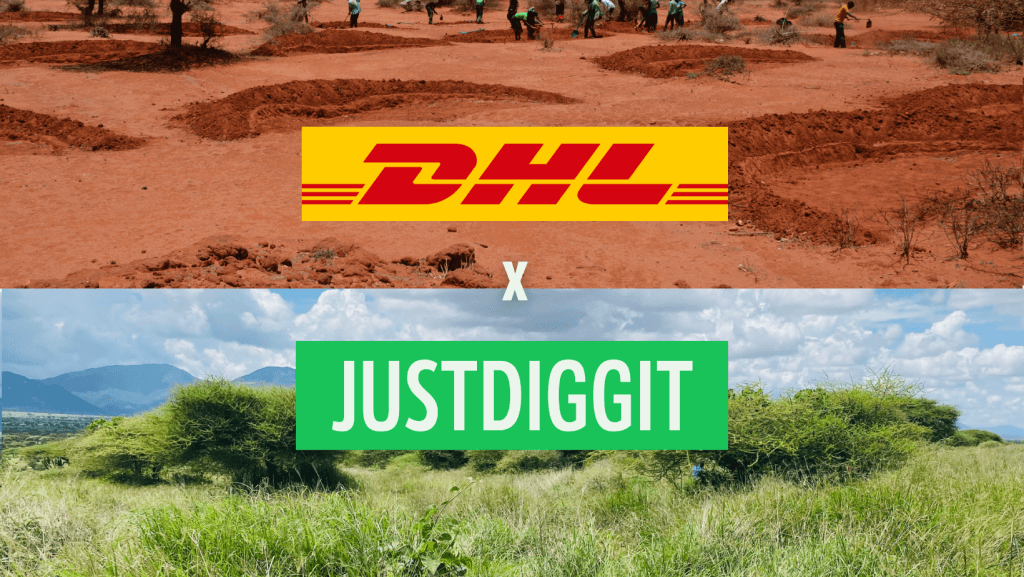 dhl justdiggit large