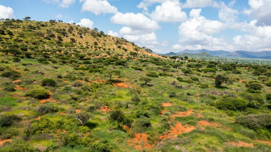 1 Hans 03 2022 Pembamoto Mlali _ Bunds _ Dodoma Tanzania