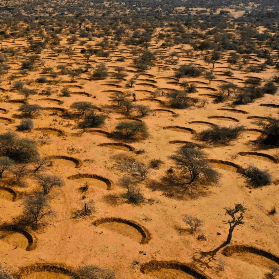 northern kenya bunds