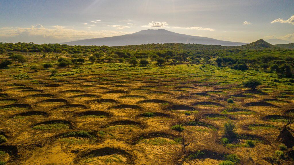 Water bunds Justdiggit