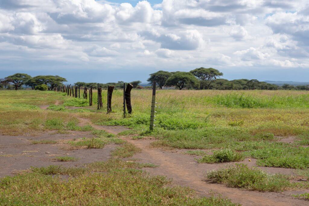 Protecting Grass land 