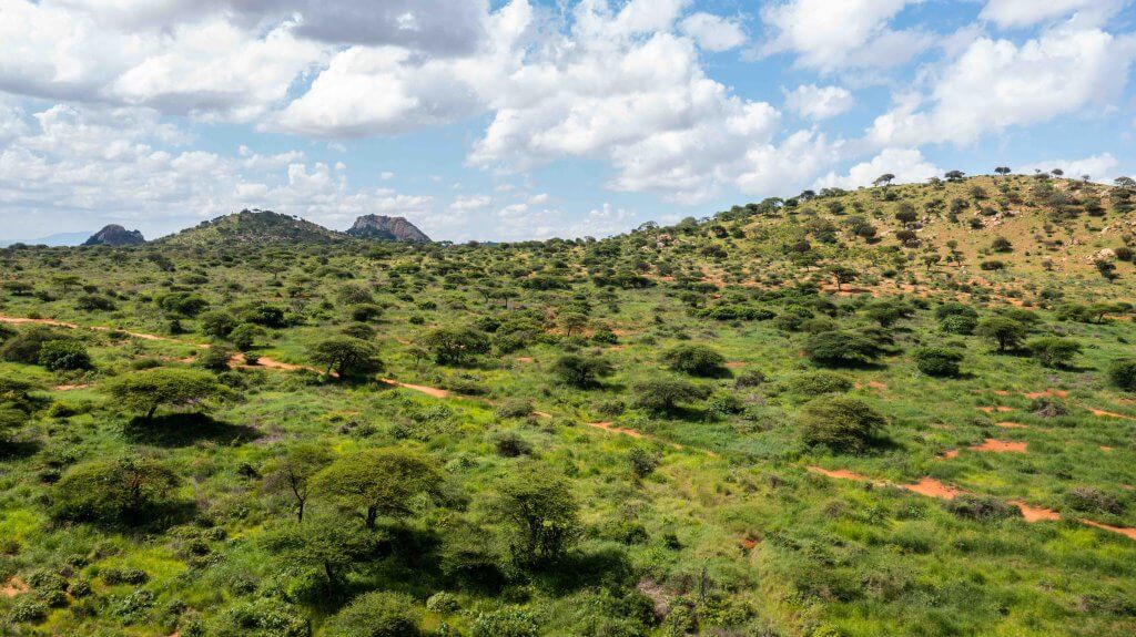 7 Hans 03 2022 Pembamoto Mlali _ Bunds _ Dodoma Tanzania