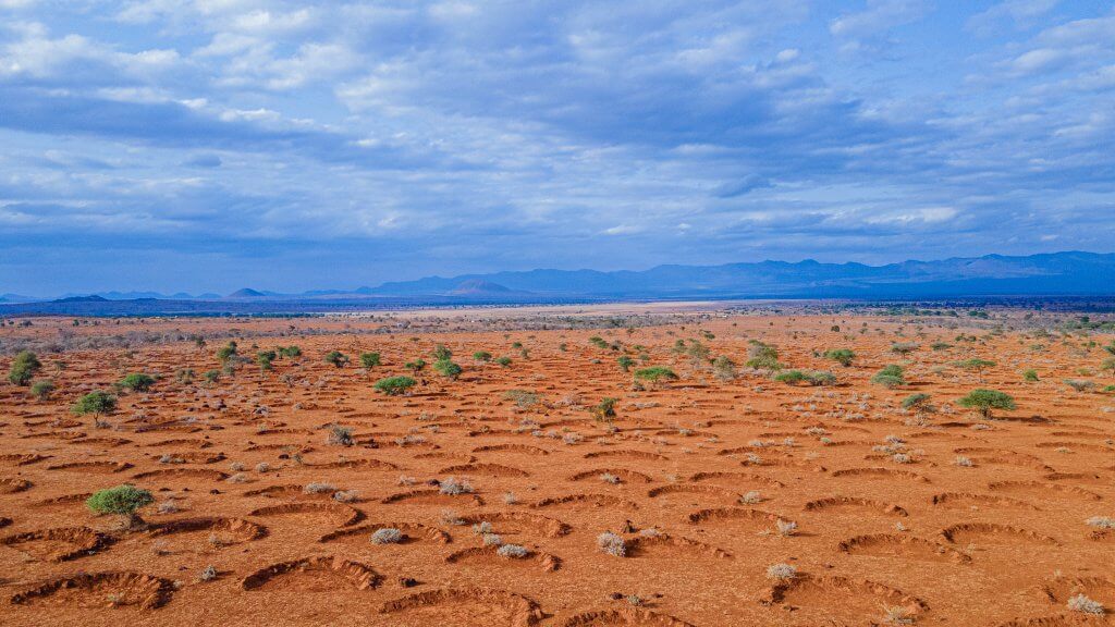 2 Tony 06 2022 Ilchalai _ Bunds _ Kuku Chyulu _ Kenya (1)