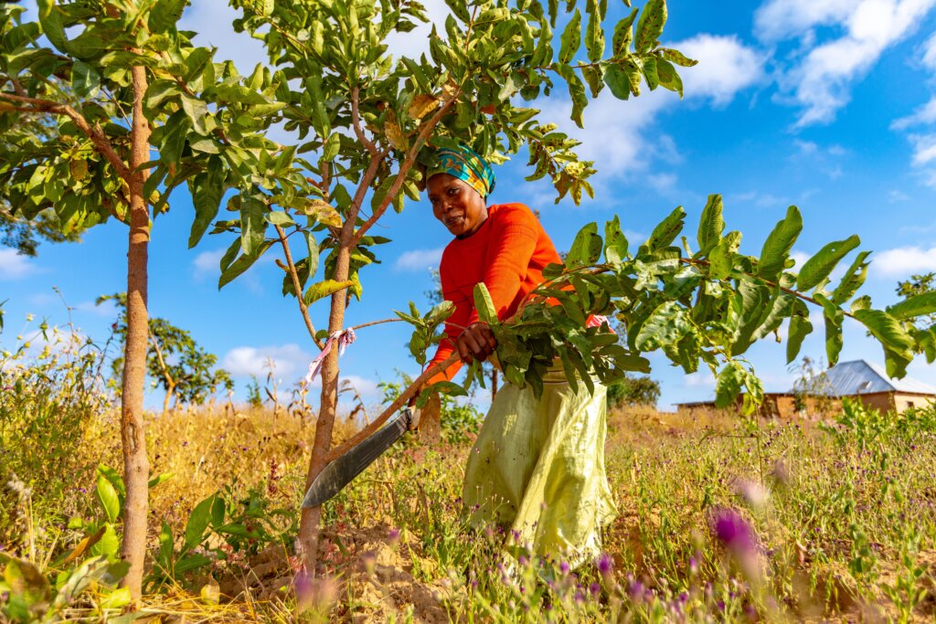 4 Hans action 06 2023 Matare Ikungi _ Singida Tanzania