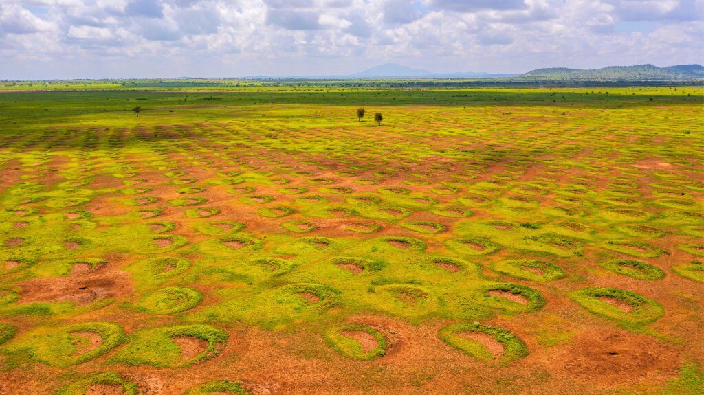 Bunds for B-corp header Bunds Tanzania