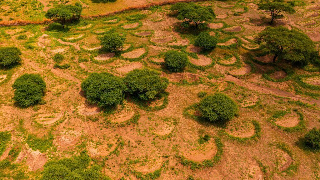 23 Hans drone 12 2023 Bunds Selela Monduli _ Arusha Tanzania